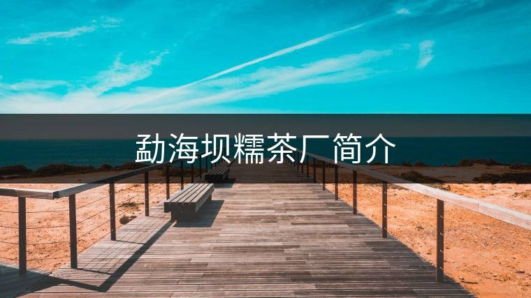 勐海壩糯茶廠簡介