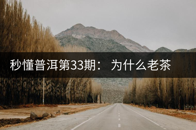 秒懂普洱第33期: 為什么老茶客都喜歡用紫砂壺泡普洱茶? 秒懂普洱第33期: 為什么老茶客都喜歡用紫砂壺泡普洱茶?