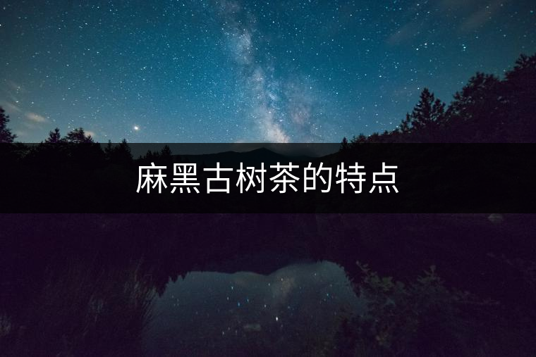 麻黑古樹茶的特點 麻黑古樹茶的特點