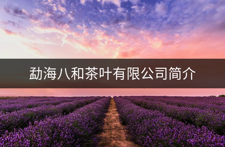 勐海八和茶葉有限公司簡介