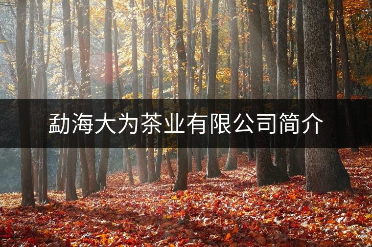 勐海大為茶業有限公司簡介