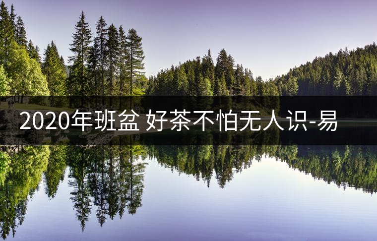 2020年班盆 好茶不怕無人識(shí)-易武中聘號(hào) 2020年班盆 好茶不怕無人識(shí)-易武中聘號(hào)