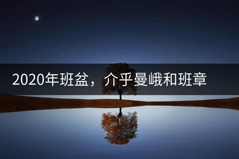 2020年班盆,介乎曼峨和班章間的“老漢子”-易武中聘號 2020年班盆,介乎曼峨和班章間的“老漢子”-易武中聘號