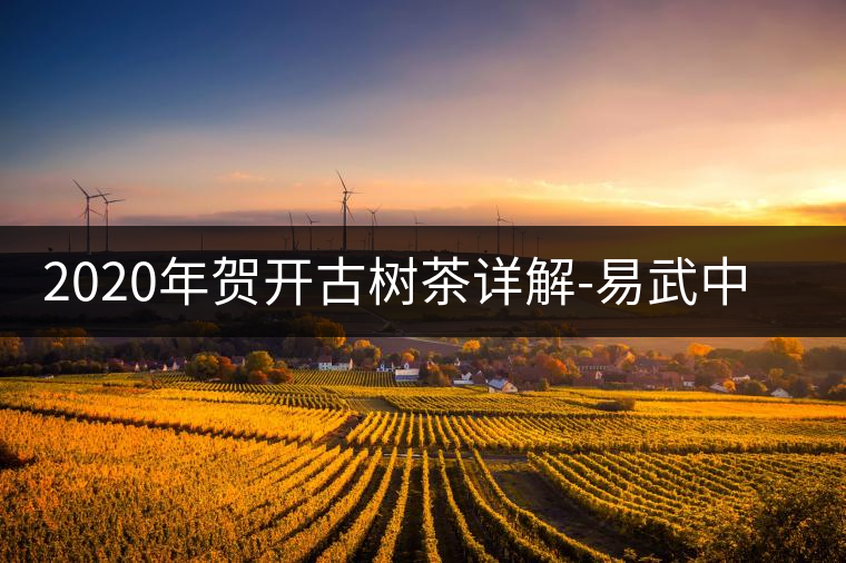 2020年賀開(kāi)古樹(shù)茶詳解-易武中聘號(hào) 2020年賀開(kāi)古樹(shù)茶詳解-易武中聘號(hào)