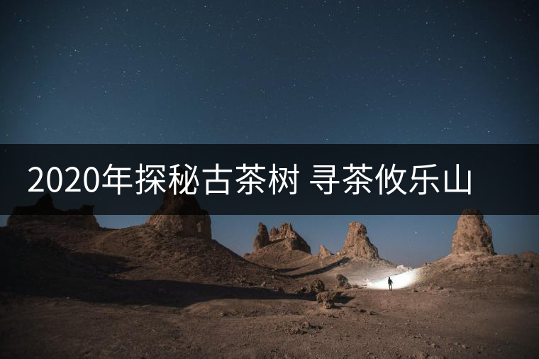 2020年探秘古茶樹 尋茶攸樂山 -易武中聘號(hào) 2020年探秘古茶樹 尋茶攸樂山 -易武中聘號(hào)