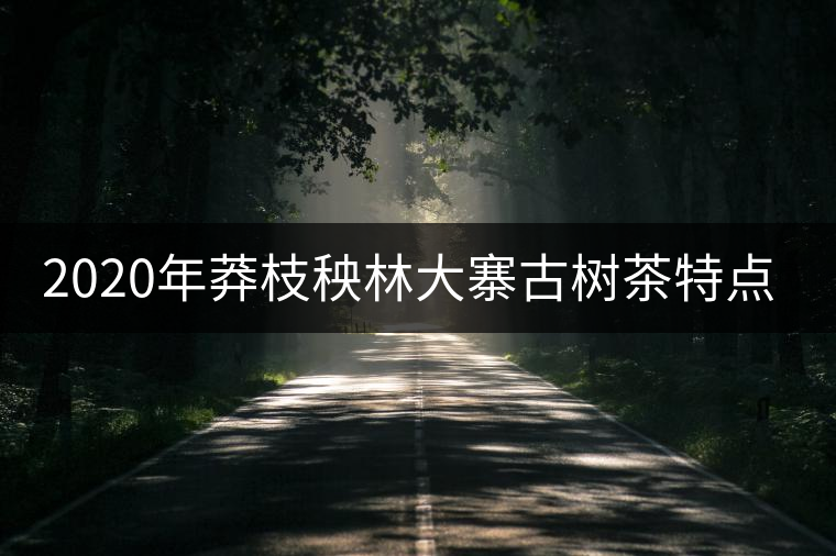 2020年莽枝秧林大寨古樹茶特點-易武中聘號 2020年莽枝秧林大寨古樹茶特點-易武中聘號
