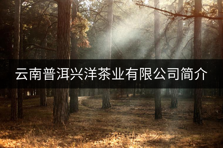 云南普洱興洋茶業有限公司簡介