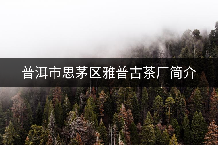 普洱市思茅區雅普古茶廠簡介