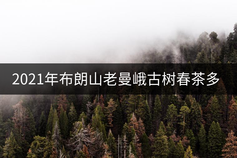 2021年布朗山老曼峨古樹(shù)春茶多少錢一公斤? 2021年布朗山老曼峨古樹(shù)春茶多少錢一公斤?