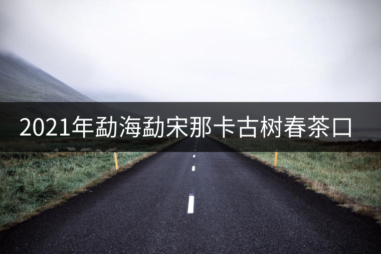 2021年勐海勐宋那卡古樹春茶口感？