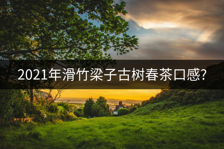 2021年滑竹梁子古樹春茶口感? 2021年滑竹梁子古樹春茶口感?