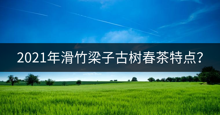 2021年滑竹梁子古樹春茶特點(diǎn)? 2021年滑竹梁子古樹春茶特點(diǎn)?