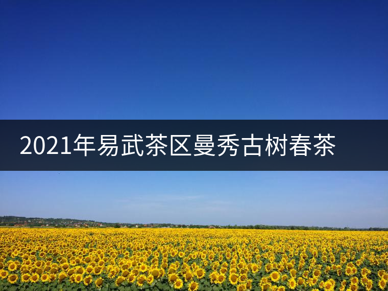 2021年易武茶區曼秀古樹春茶多少錢一公斤