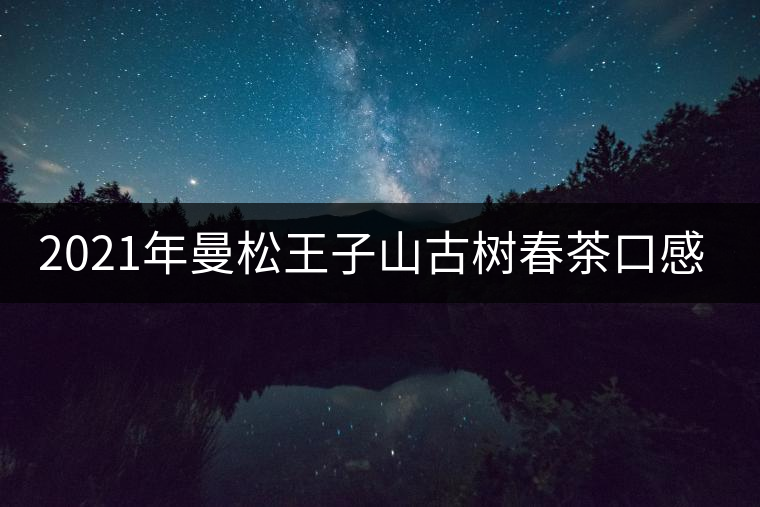 2021年曼松王子山古樹春茶口感特點 2021年曼松王子山古樹春茶口感特點