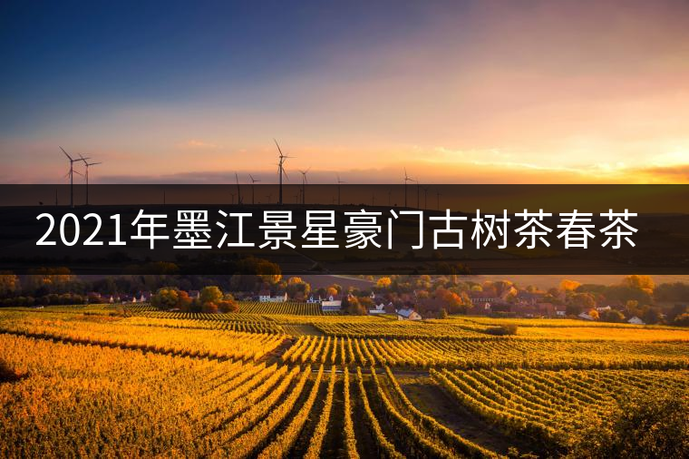 2021年墨江景星豪門古樹茶春茶價格多少錢一斤? 2021年墨江景星豪門古樹茶春茶價格多少錢一斤?