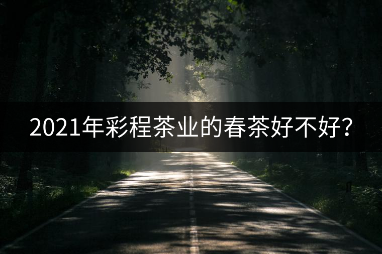 2021年彩程茶業(yè)的春茶好不好? 2021年彩程茶業(yè)的春茶好不好?