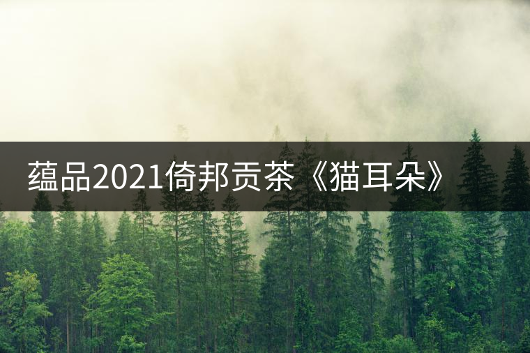 蘊(yùn)品2021倚邦貢茶《貓耳朵》古樹普洱茶生茶好喝嗎？