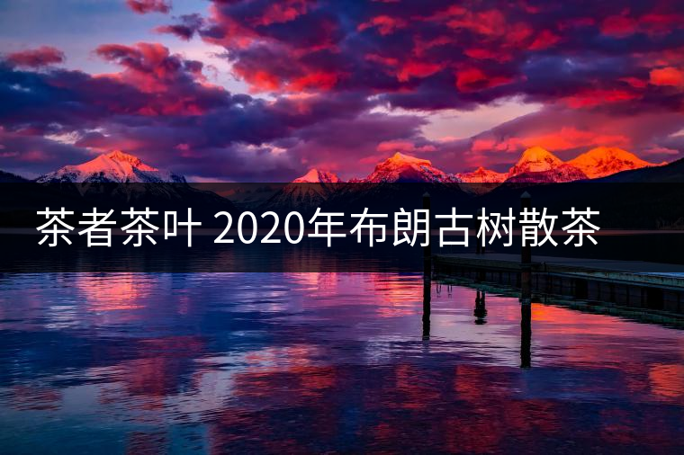 茶者茶葉 2020年布朗古樹散茶  性價(jià)比怎么樣？