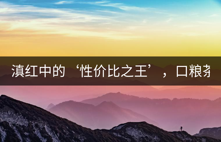 滇紅中的‘性價比之王’，口糧茶首選！