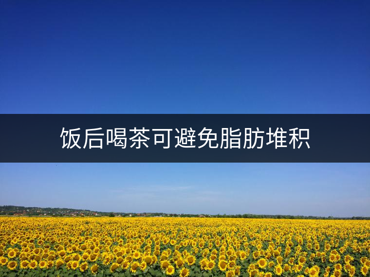 飯后喝茶可避免脂肪堆積 飯后喝茶可避免脂肪堆積
