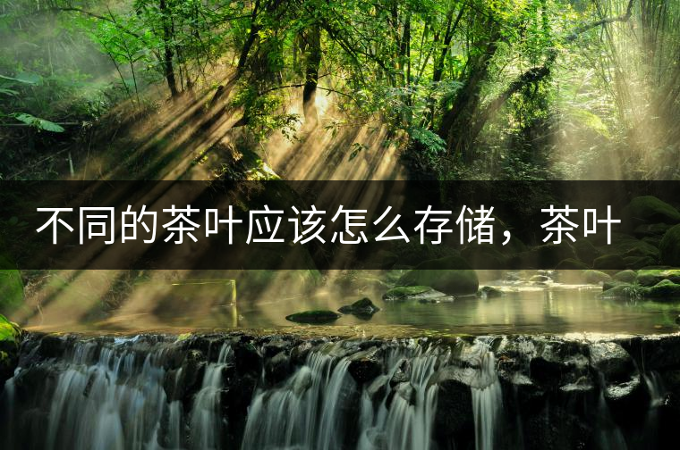 不同的茶葉應該怎么存儲，茶葉罐又該如何選擇？