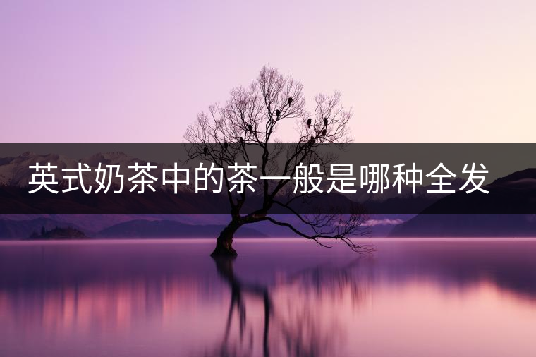 英式奶茶中的茶一般是哪種全發酵茶類