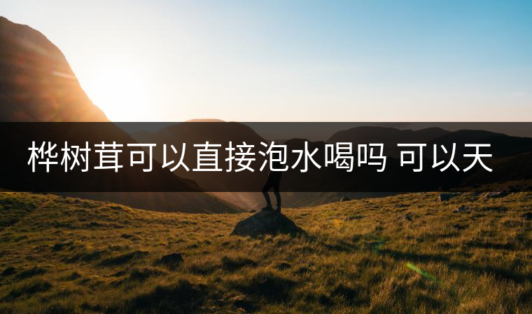 樺樹茸可以直接泡水喝嗎 可以天天喝嗎 樺樹茸可以直接泡水喝嗎 可以天天喝嗎