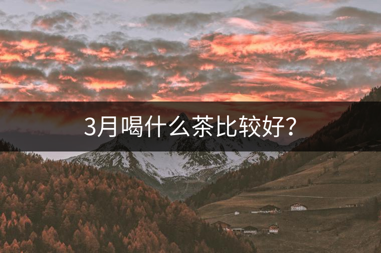 3月喝什么茶比較好? 3月喝什么茶比較好?