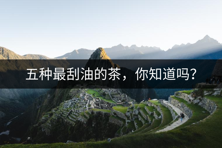 五種最刮油的茶，你知道嗎？