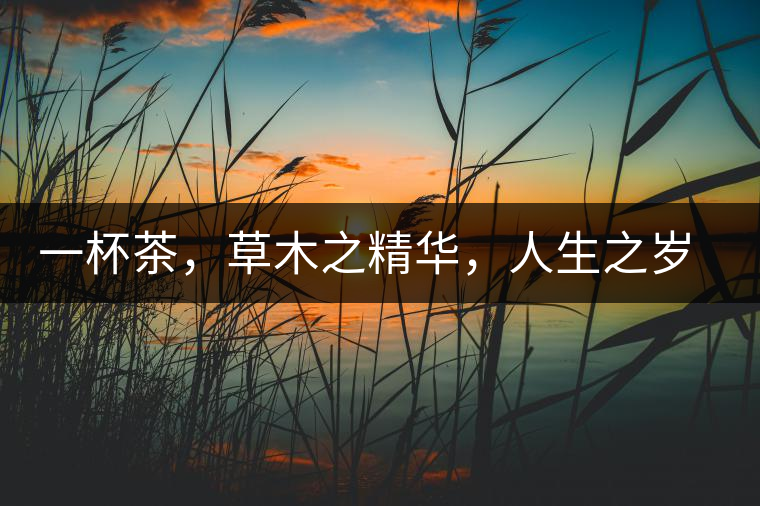 一杯茶，草木之精華，人生之歲月