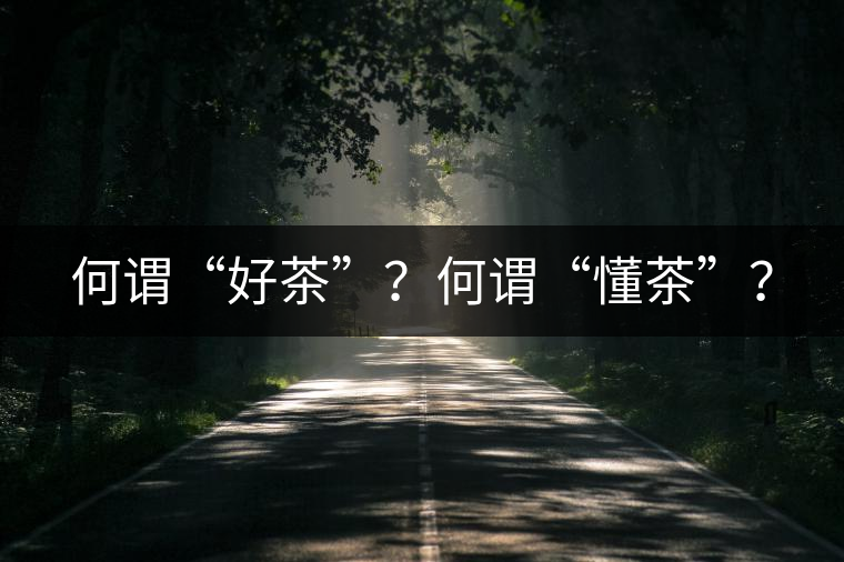 何謂“好茶”？何謂“懂茶”？