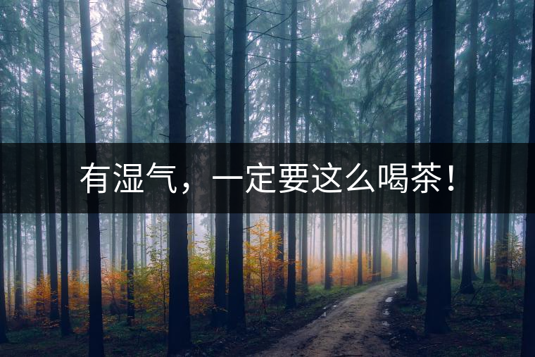 有濕氣,一定要這么喝茶! 有濕氣,一定要這么喝茶!