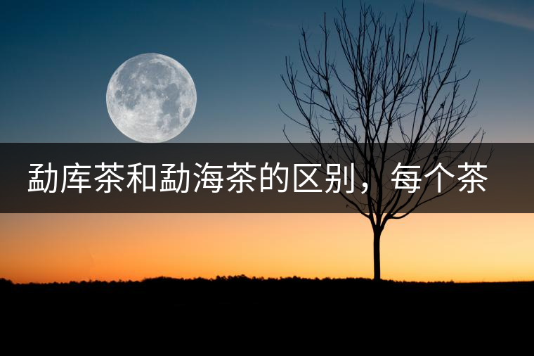 勐庫茶和勐海茶的區(qū)別，每個(gè)茶友都該了解的選茶常識(shí)！