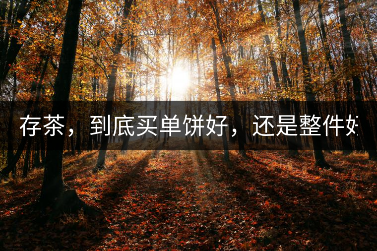 存茶，到底買單餅好，還是整件好？