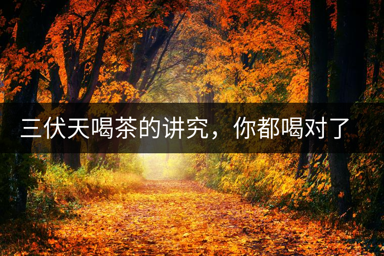 三伏天喝茶的講究，你都喝對了嗎？