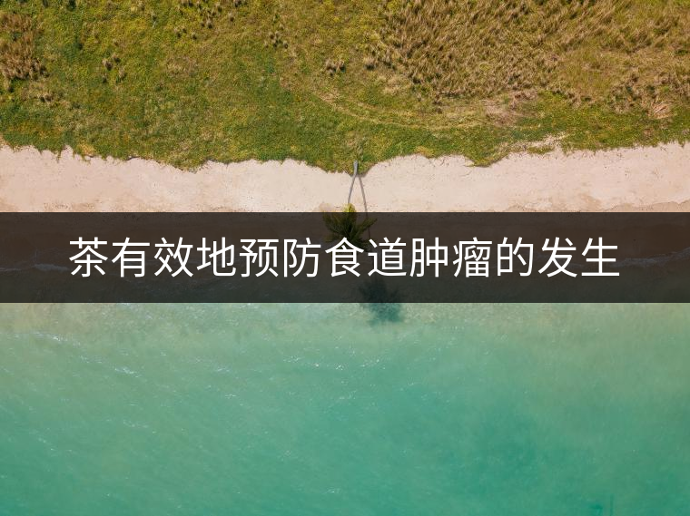茶有效地預防食道腫瘤的發(fā)生 茶有效地預防食道腫瘤的發(fā)生