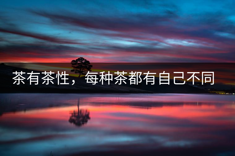 茶有茶性,每種茶都有自己不同的正確泡法 茶有茶性,每種茶都有自己不同的正確泡法