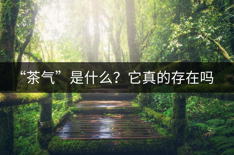 “茶氣”是什么?它真的存在嗎? “茶氣”是什么?它真的存在嗎?