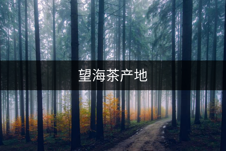 望海茶產地