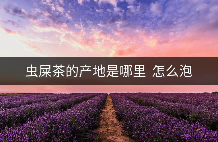 蟲屎茶的產地是哪里 怎么泡 蟲屎茶的產地是哪里 怎么泡