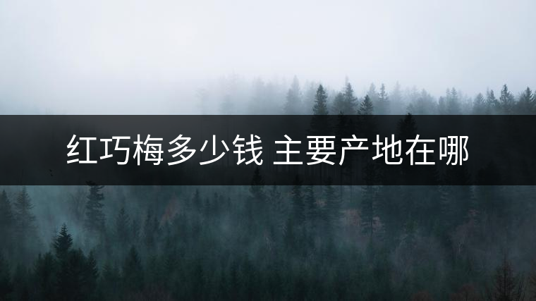 紅巧梅多少錢 主要產(chǎn)地在哪