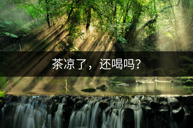 茶涼了,還喝嗎? 茶涼了,還喝嗎?