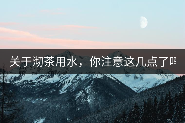 關于沏茶用水，你注意這幾點了嗎？