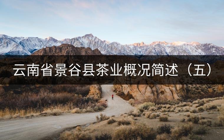 云南省景谷縣茶業概況簡述(五) 云南省景谷縣茶業概況簡述(五)