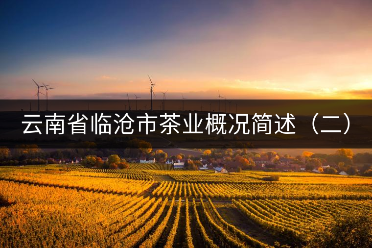 云南省臨滄市茶業概況簡述(二) 云南省臨滄市茶業概況簡述(二)