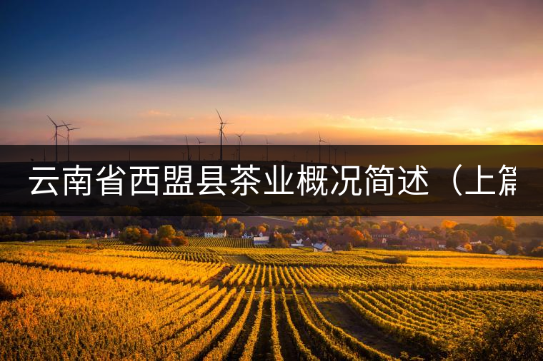 云南省西盟縣茶業概況簡述(上篇) 云南省西盟縣茶業概況簡述(上篇)