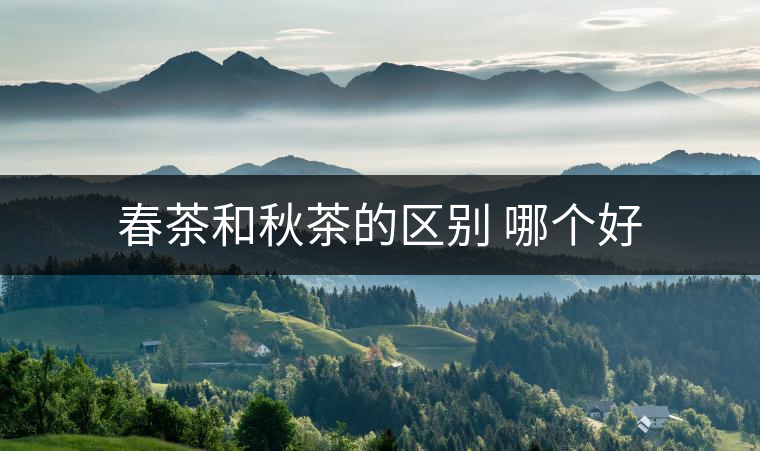 春茶和秋茶的區別 哪個好 春茶和秋茶的區別 哪個好