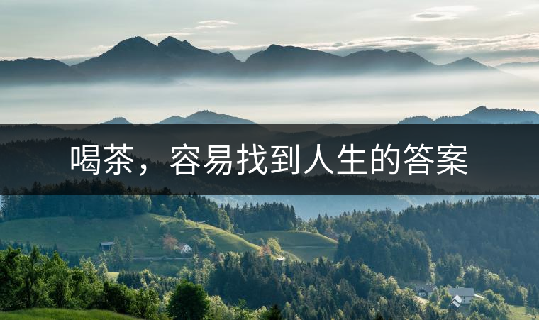 喝茶,容易找到人生的答案 喝茶,容易找到人生的答案