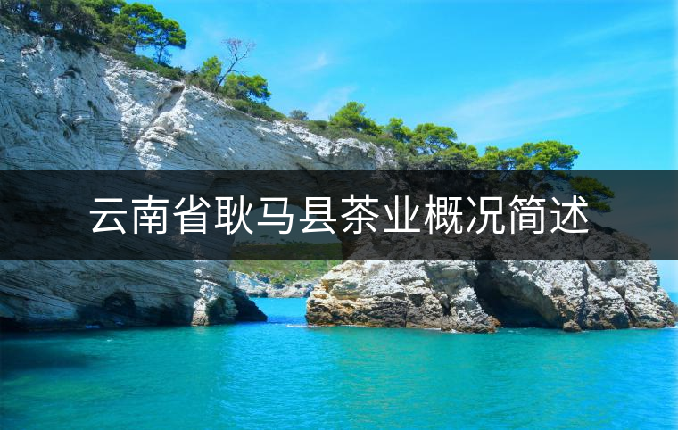 云南省耿馬縣茶業概況簡述 云南省耿馬縣茶業概況簡述