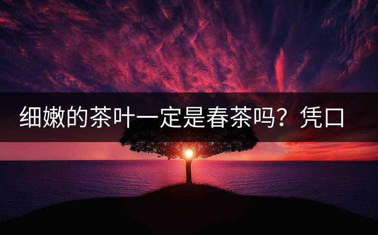 細(xì)嫩的茶葉一定是春茶嗎？憑口感鑒別春茶的方法